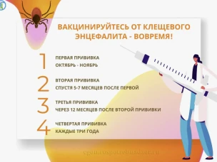 Лучшая защита от клещевого энцефалита – это прививка